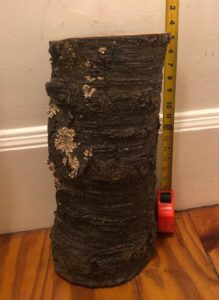 side view of original log