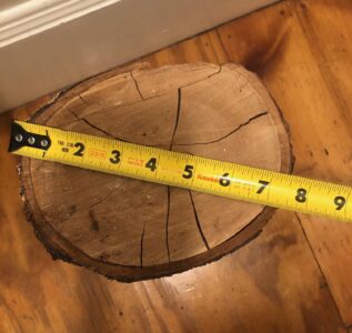 top view of original log